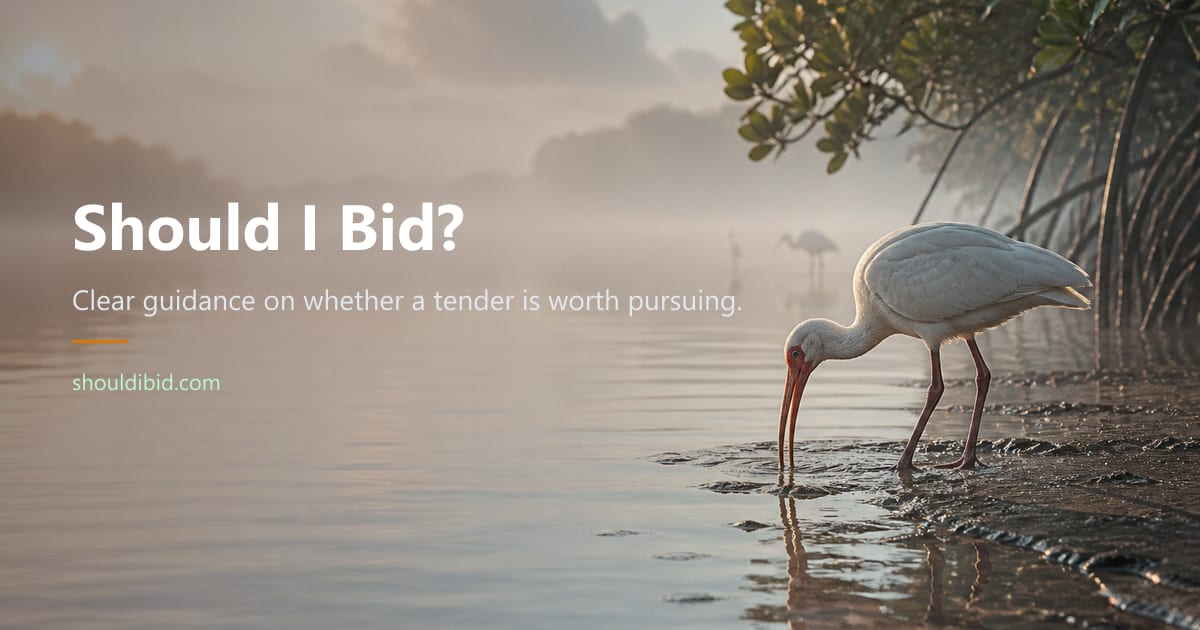 Should I Bid